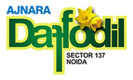 Ajnara Daffodil