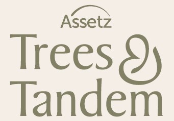 Assetz Trees and Tandem