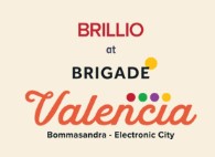 Brillio At Brigade Valencia
