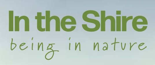 Encore In The Shire