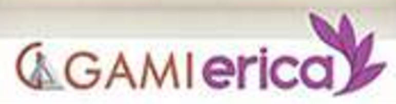 Gami Erica
