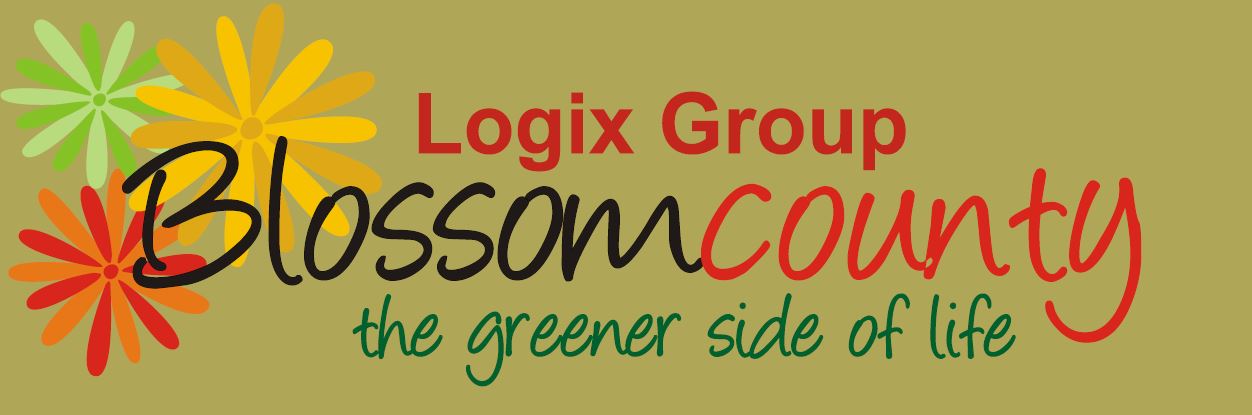 Logix Blossom County