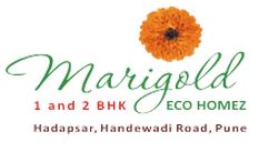 Nagpal Marigold