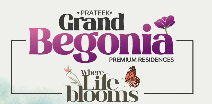 Prateek Grand Begonia