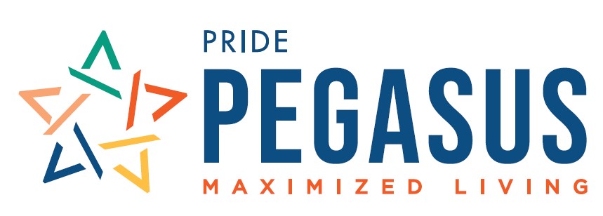 Pride Pegasus