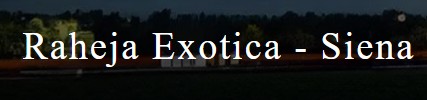 Raheja Exotica Siena