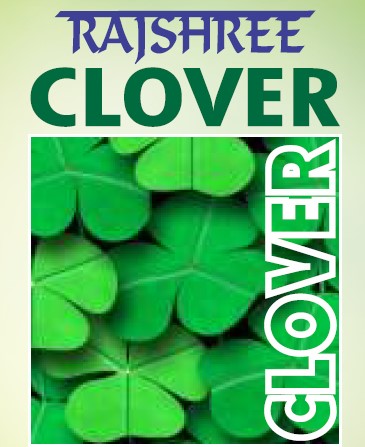 Rajshree Clover