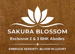 Sakura Blossom