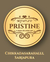 Signature Pristine