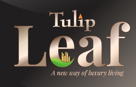 Tulip Leaf