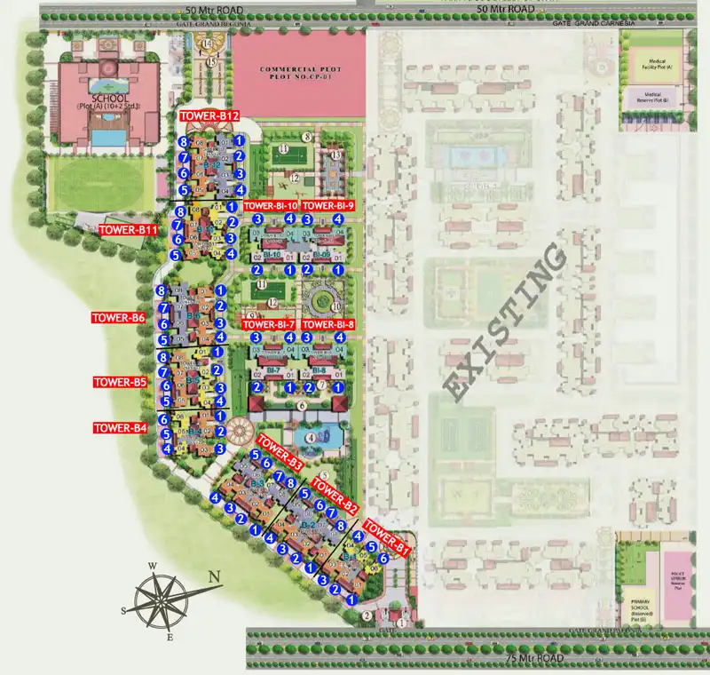 Prateek Grand Begonia